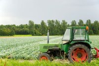 Climate-Smart Agriculture: Resilient, Sustainable Farming